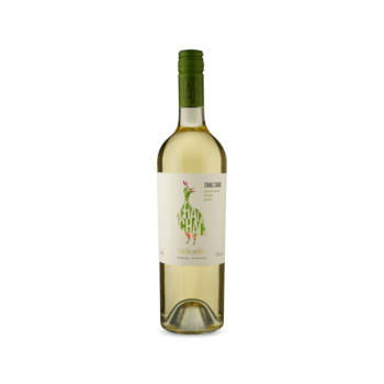 Chac Chac Sauvignon Blanc 2021 Chac Chac Sauvignon Blanc 2021